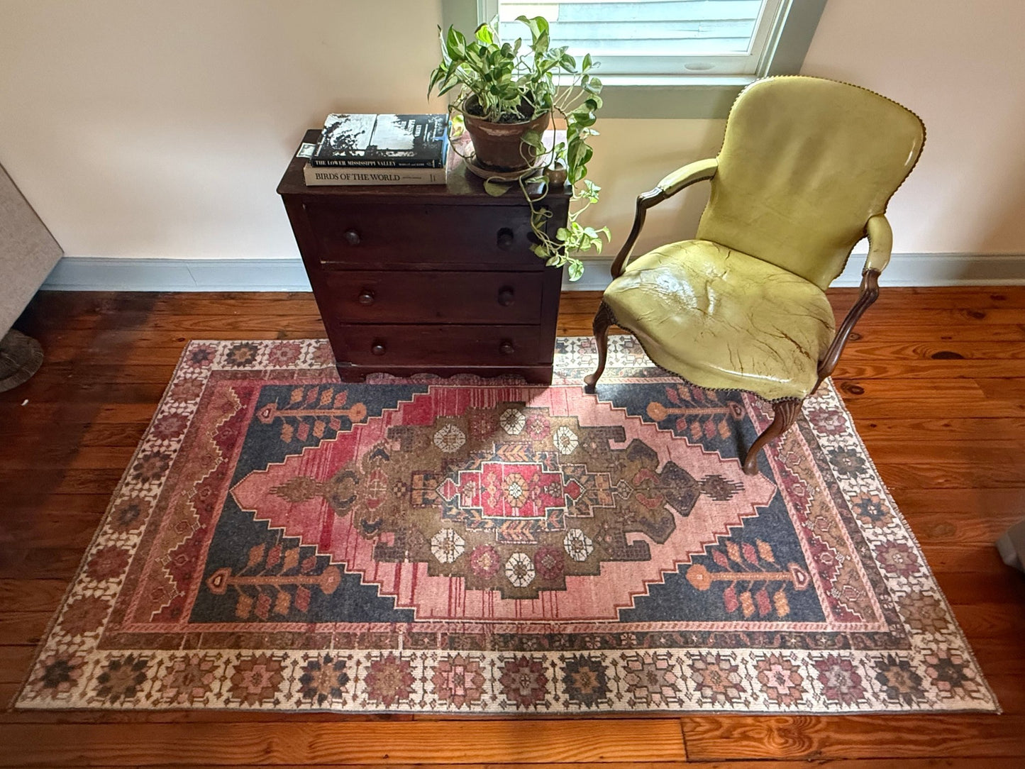 Alev - Neighborhood Rugs