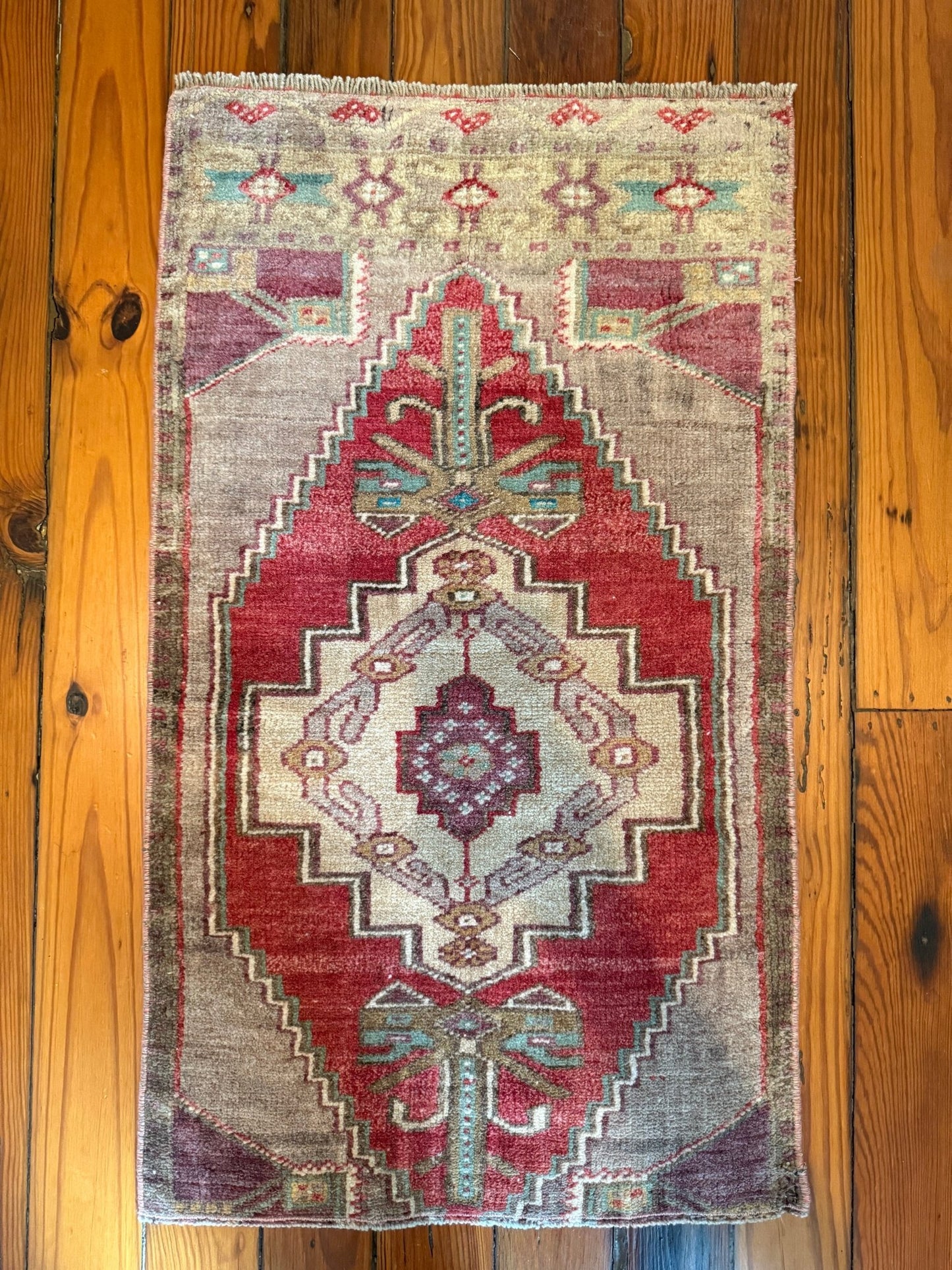 Kars - Neighborhood Rugs