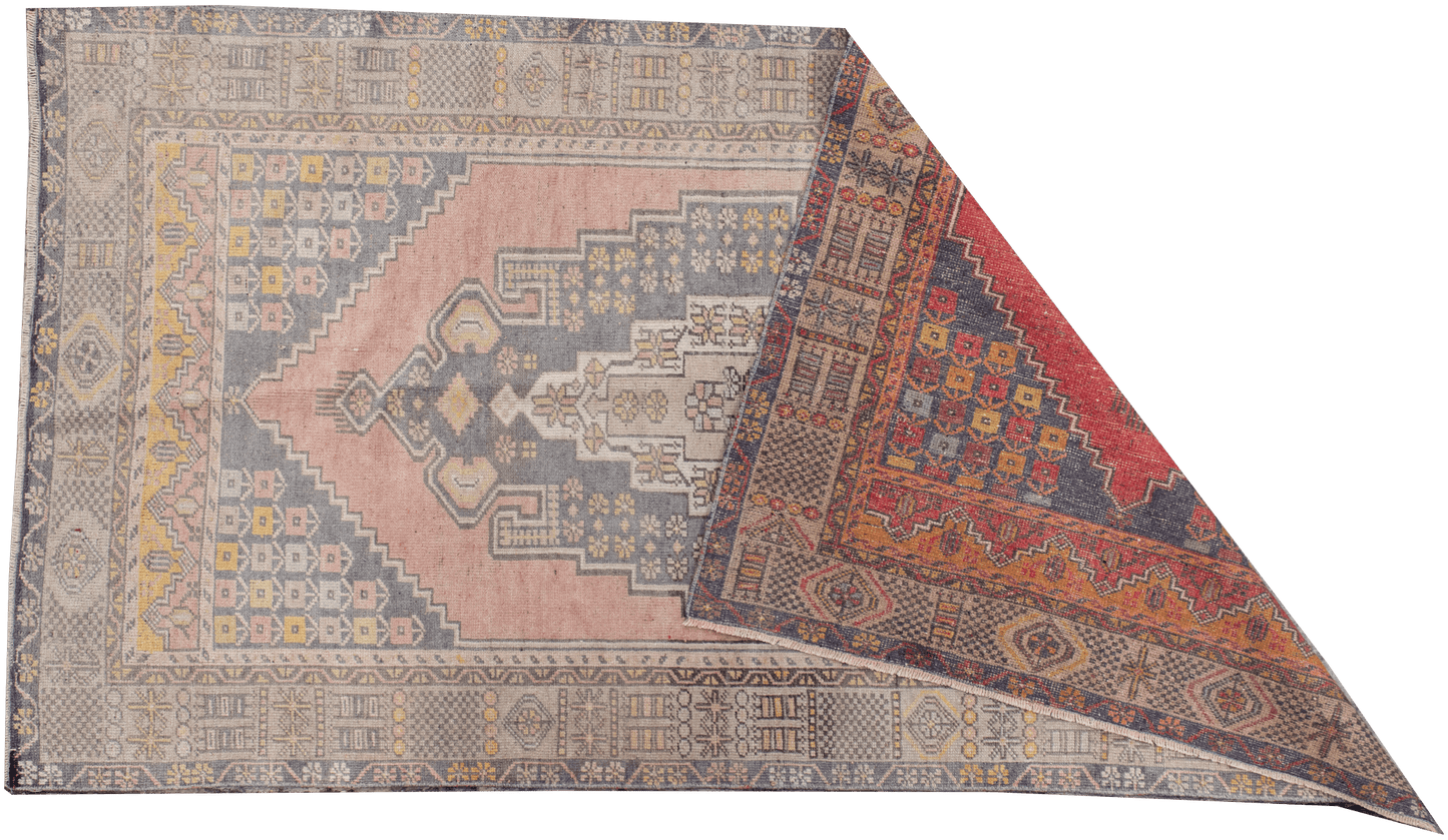 Alev - Neighborhood Rugs