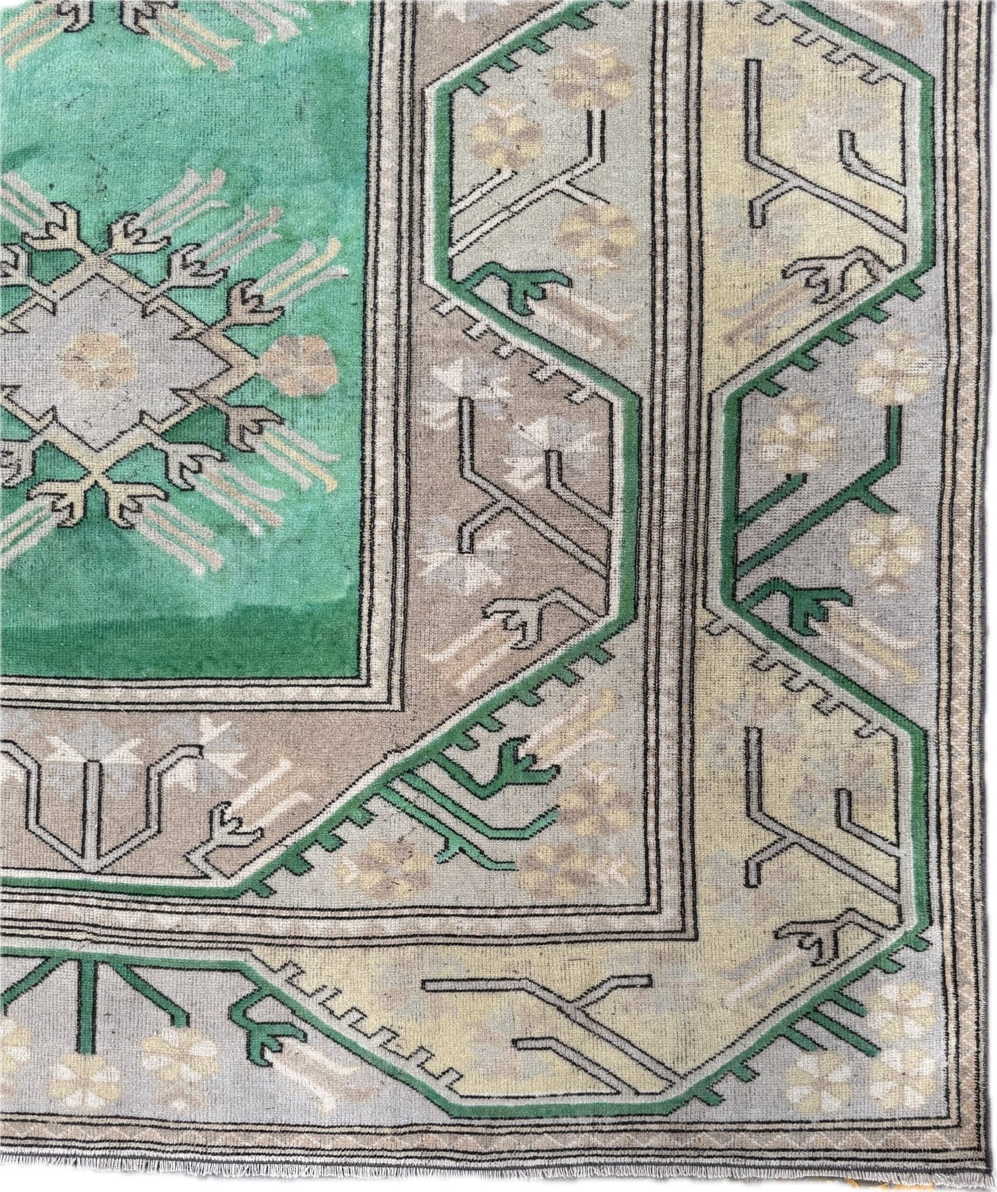 Halay - Neighborhood Rugs