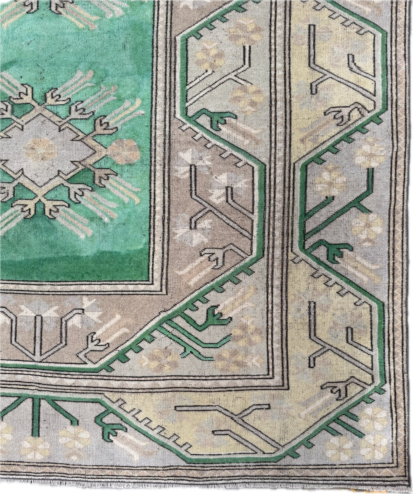 Halay - Neighborhood Rugs