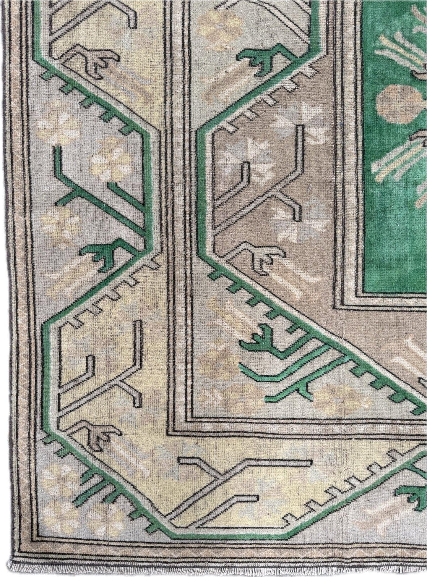 Halay - Neighborhood Rugs