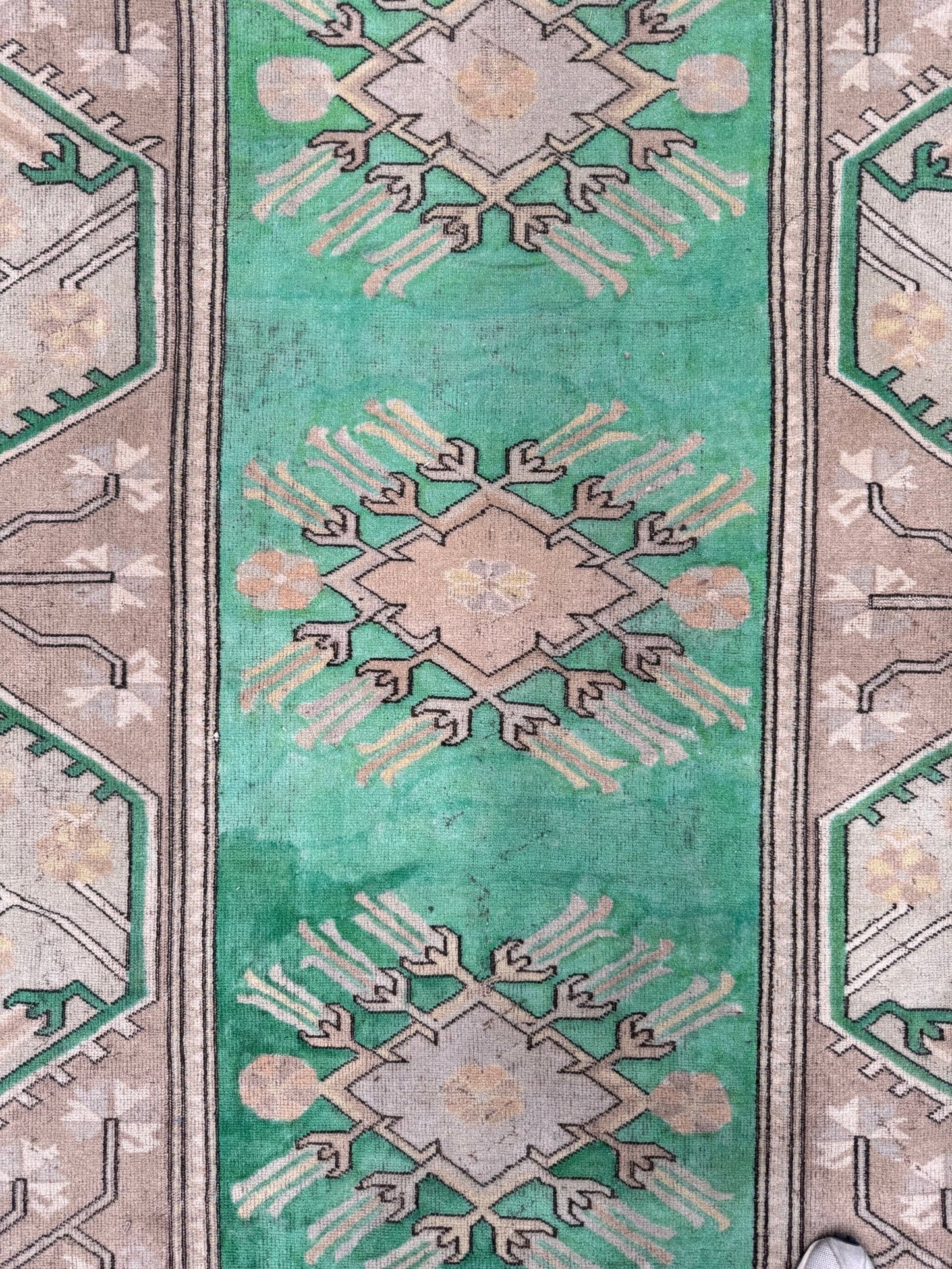 Halay - Neighborhood Rugs