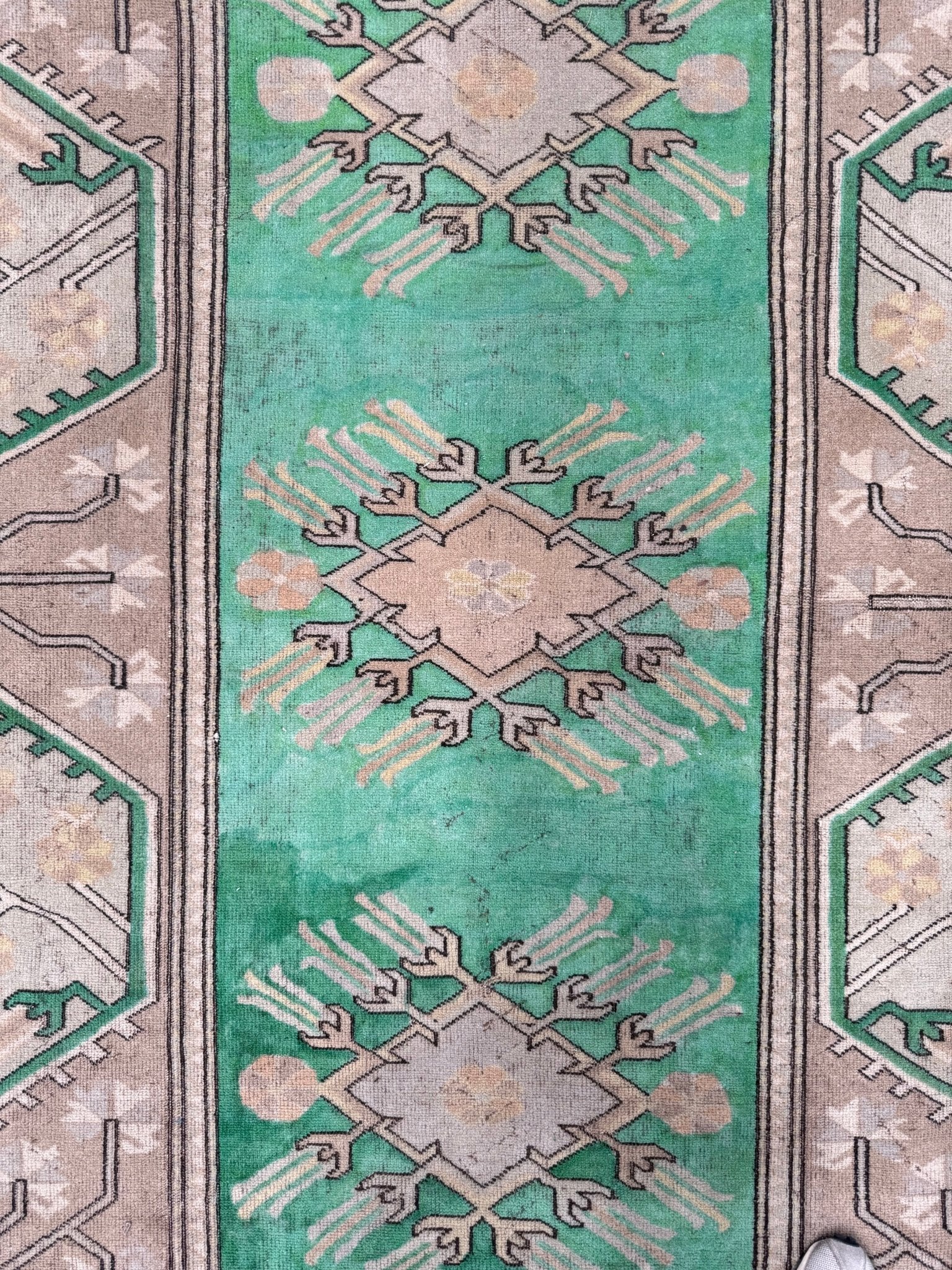 Halay - Neighborhood Rugs